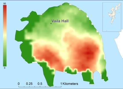 Vaila Цифровая модель местности - DTM