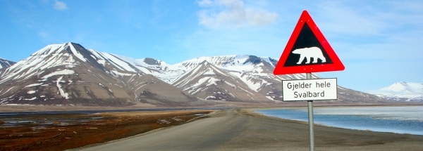  Sights island Spitsbergen Tourism 