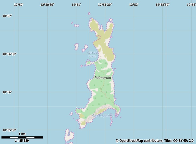 Palmarola Mapa
