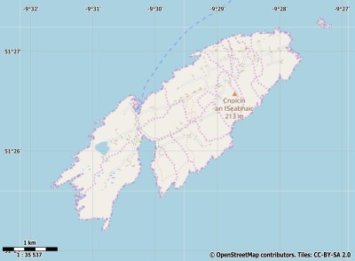 Cape Clear Island map