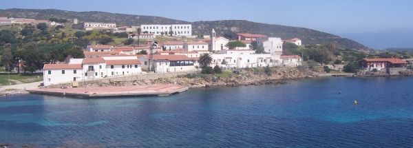   Majoitus Nähtävyydet saari Asinara Matkailu 